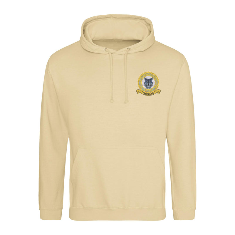 RAF Officer Training Academy C Squadron Hoodie