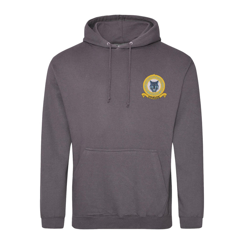 RAF Officer Training Academy C Squadron Hoodie