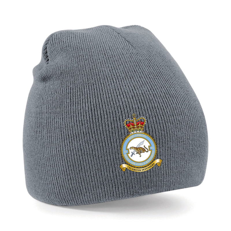 No. 51 Squadron RAF Regiment (Big Cat) Beanie Hat