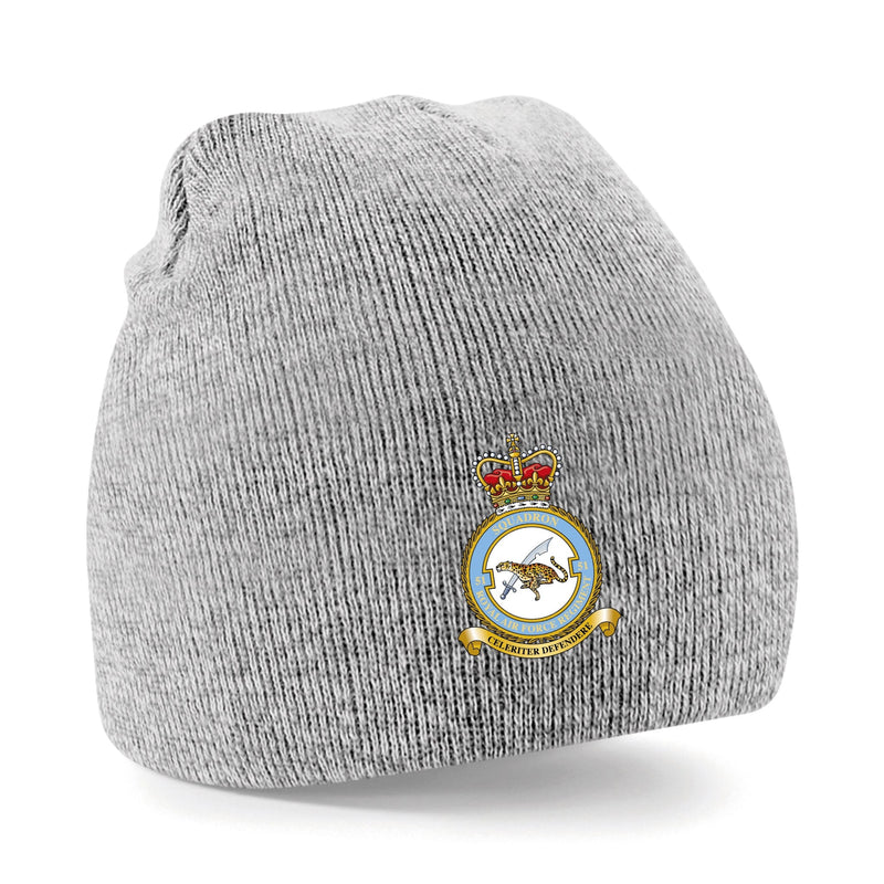 No. 51 Squadron RAF Regiment (Big Cat) Beanie Hat
