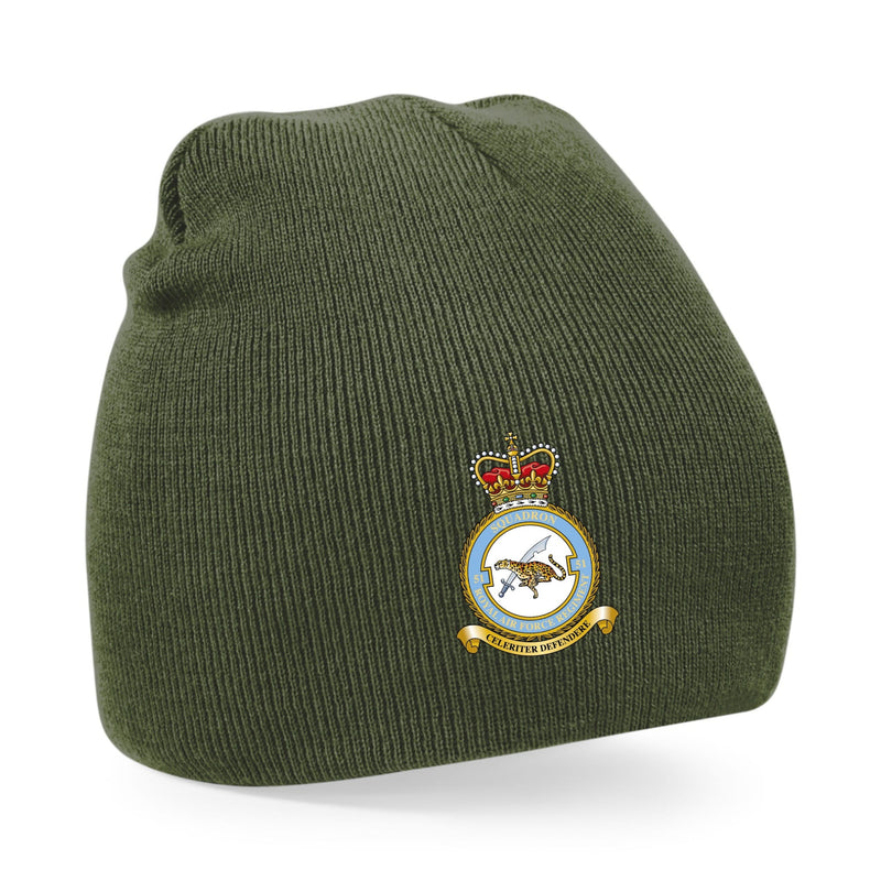 No. 51 Squadron RAF Regiment (Big Cat) Beanie Hat