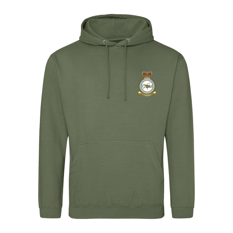 No. 51 Squadron RAF Regiment (Big Cat) Hoodie