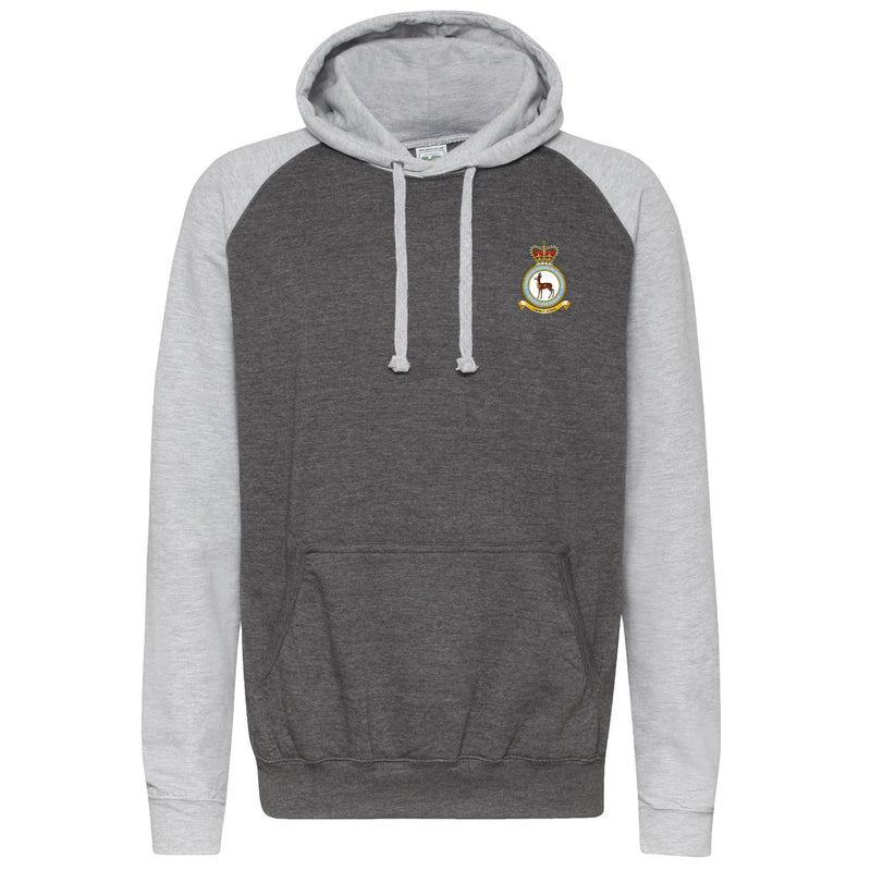 RAF School of Physical Training Contrast Sleeves Hoodie