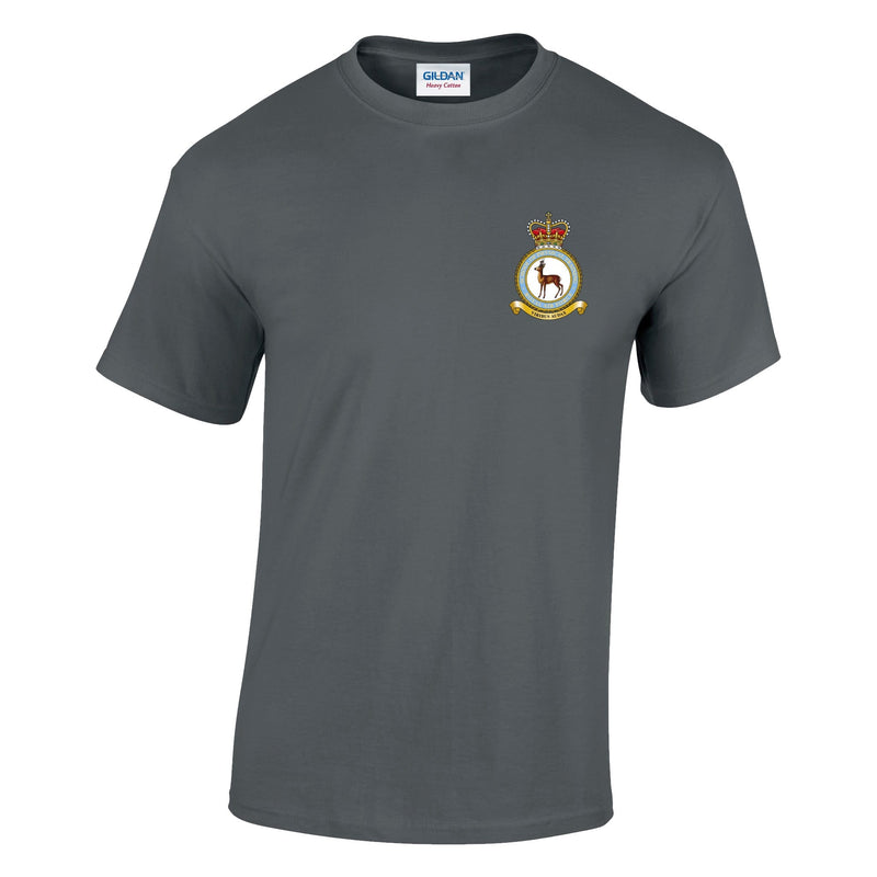 RAF School of Physical Training Cotton T-Shirt
