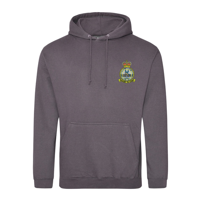 RAF Tactical Supply Wing Hoodie