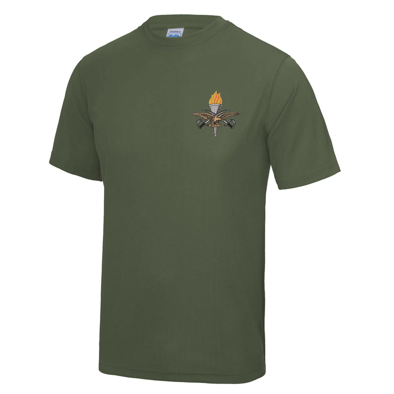 RAF Training Branch (RAF Cadre Sleeve) Polyester T-Shirt