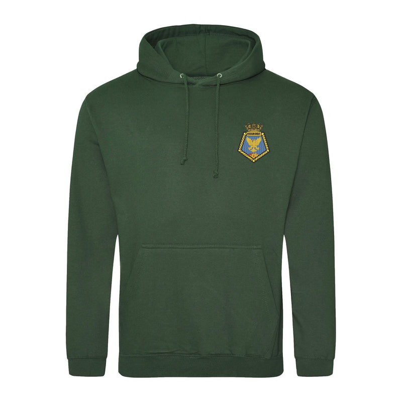 RFA Resurgent Hoodie