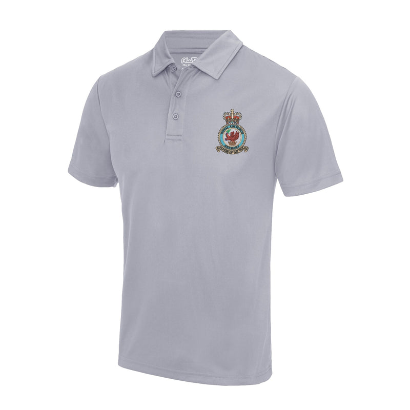 Royal Air Force Germany Cool Polo
