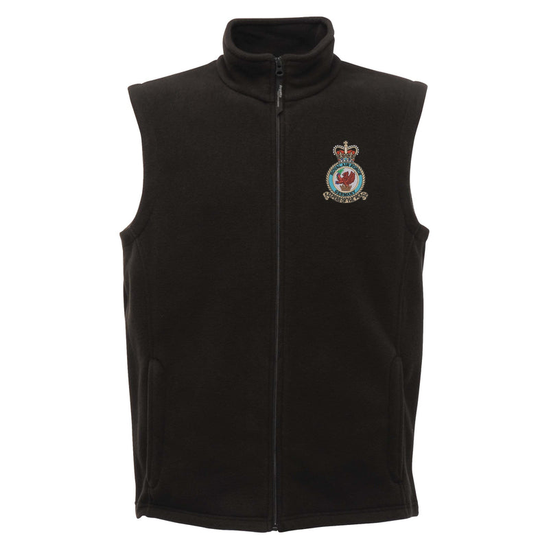 Royal Air Force Germany Regatta Fleece Bodywarmer
