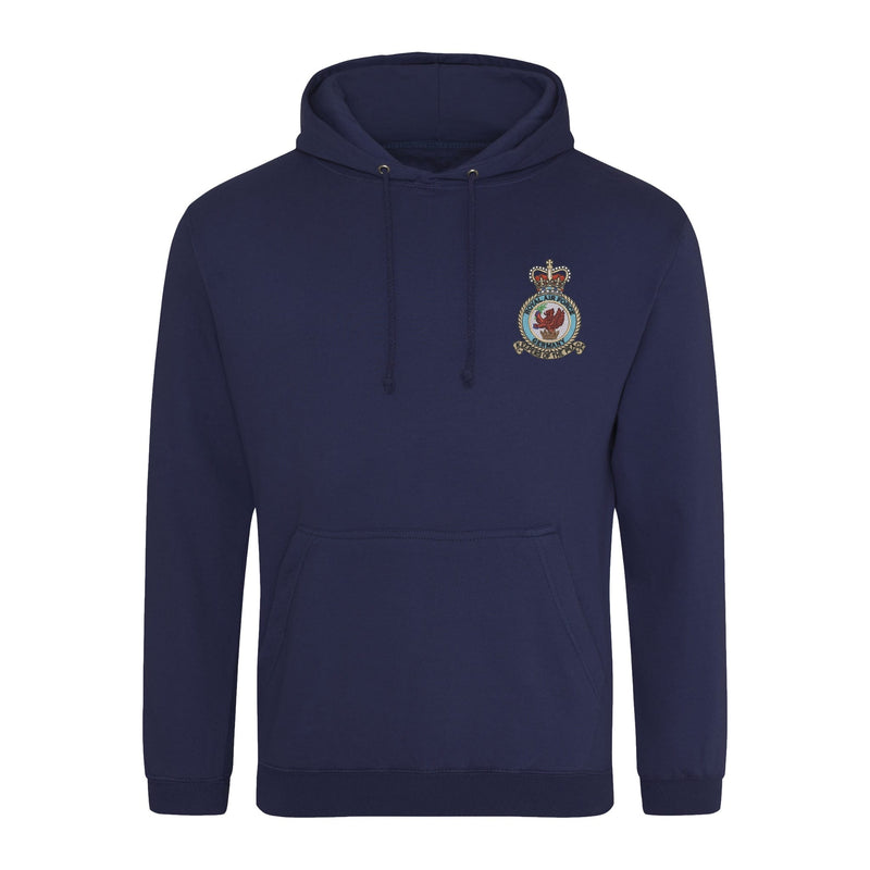 Royal Air Force Germany Hoodie