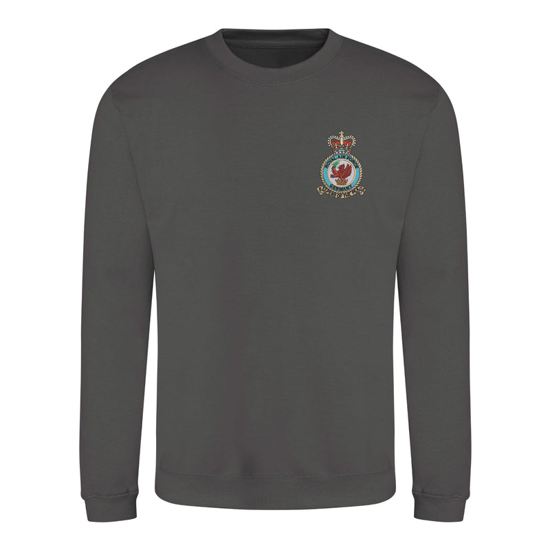 Royal Air Force Germany Sweatshirt
