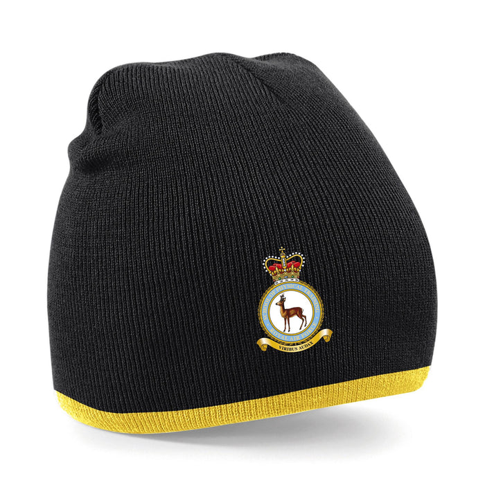 RAF School of Physical Training Beanie Hat