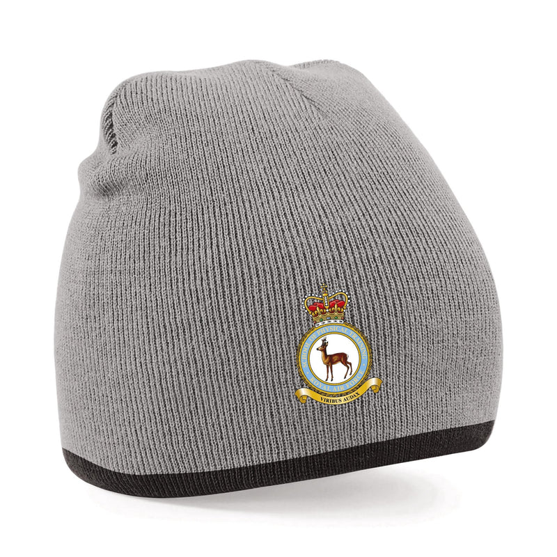 RAF School of Physical Training Beanie Hat