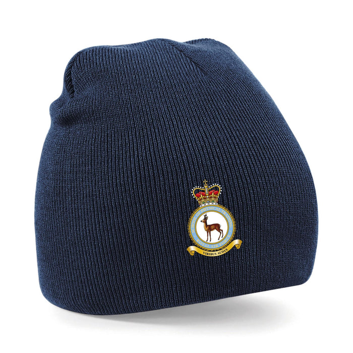 RAF School of Physical Training Beanie Hat