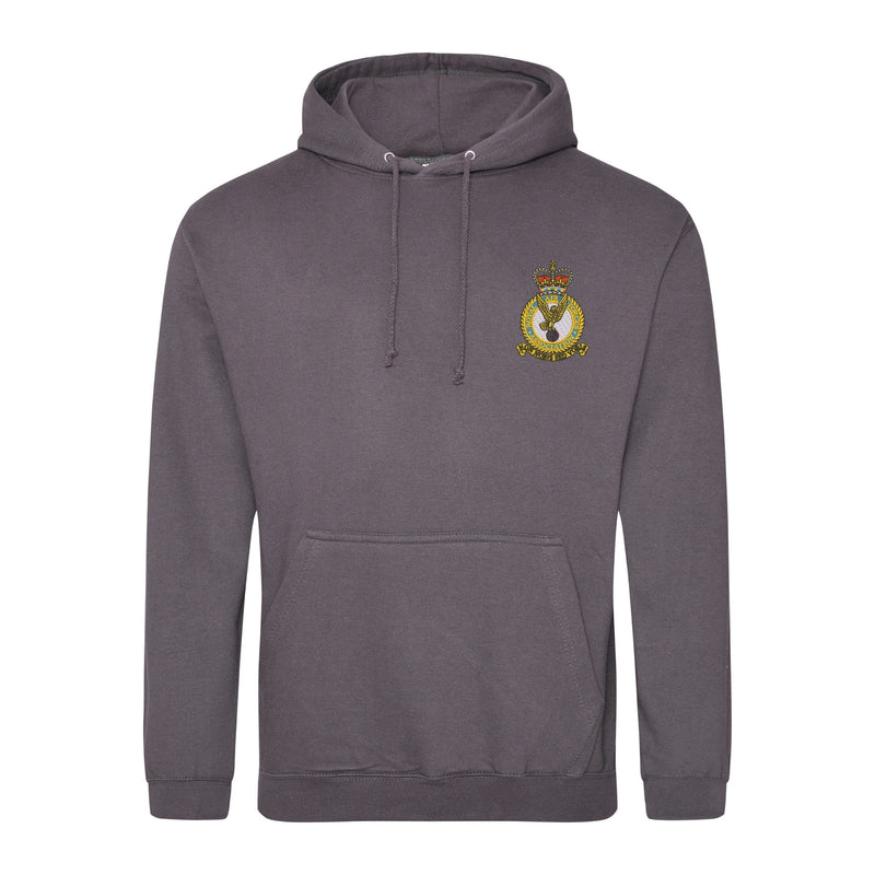 Royal Air Forces Association Hoodie