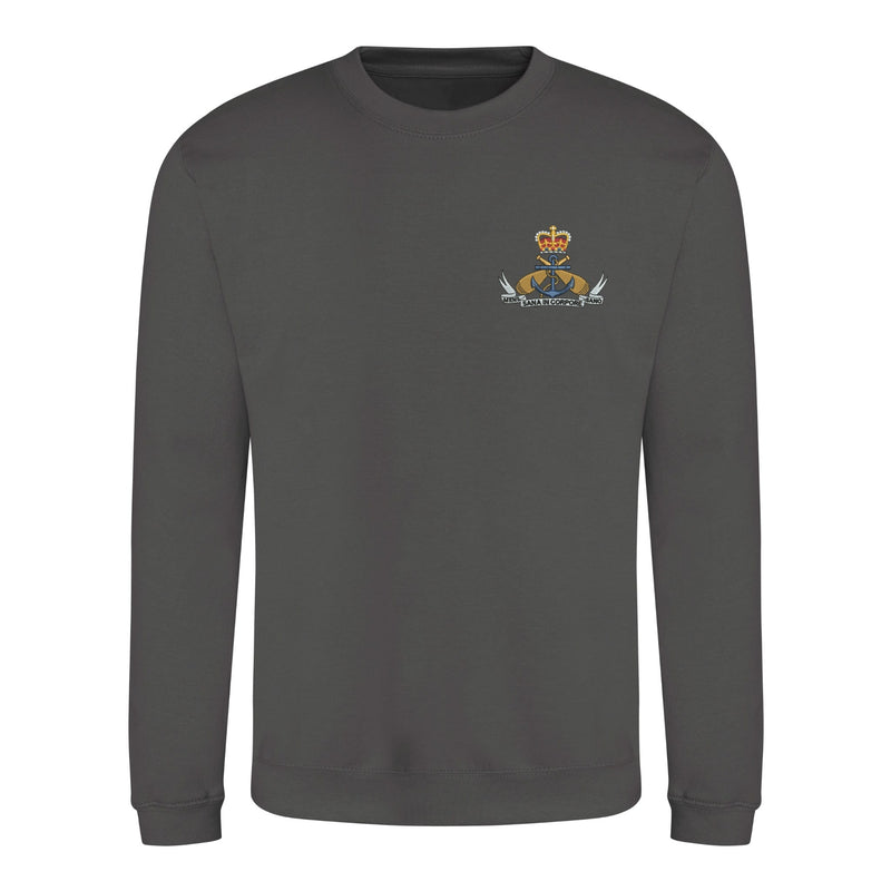 Royal Navy PTI Sweatshirt