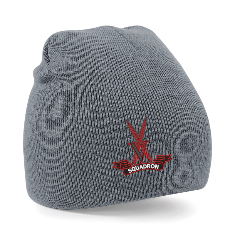V Squadron Beanie Hat