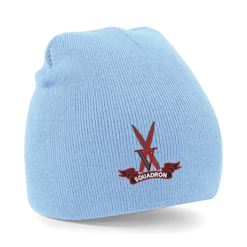 V Squadron Beanie Hat