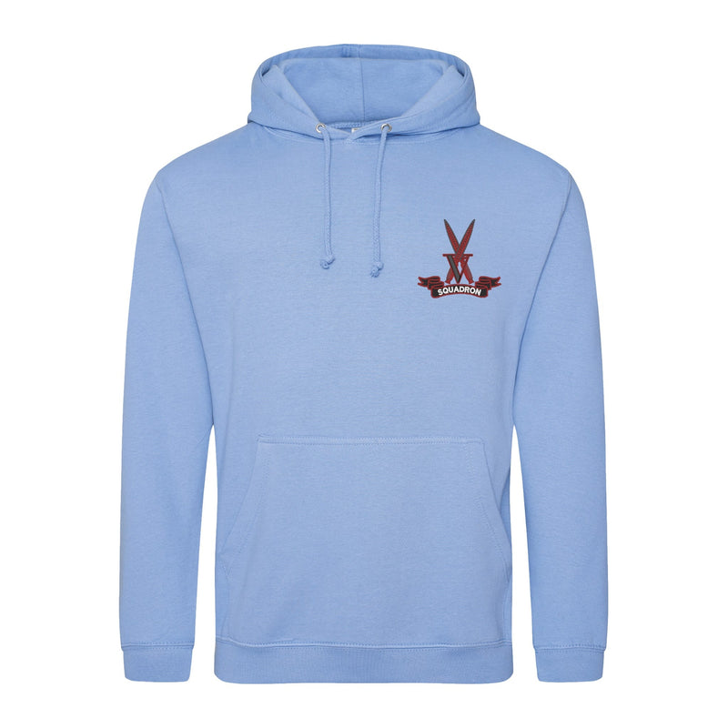 V Squadron Hoodie