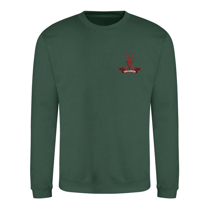 V Squadron Sweatshirt