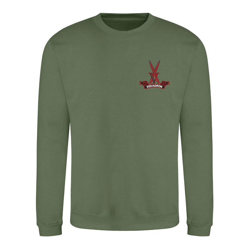V Squadron Sweatshirt