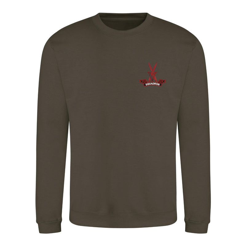 V Squadron Sweatshirt