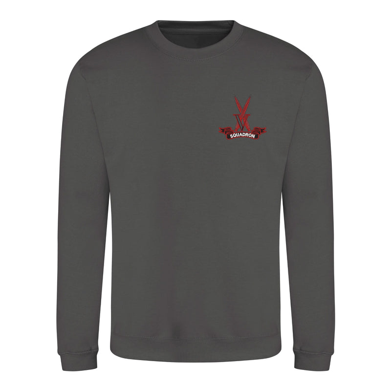 V Squadron Sweatshirt