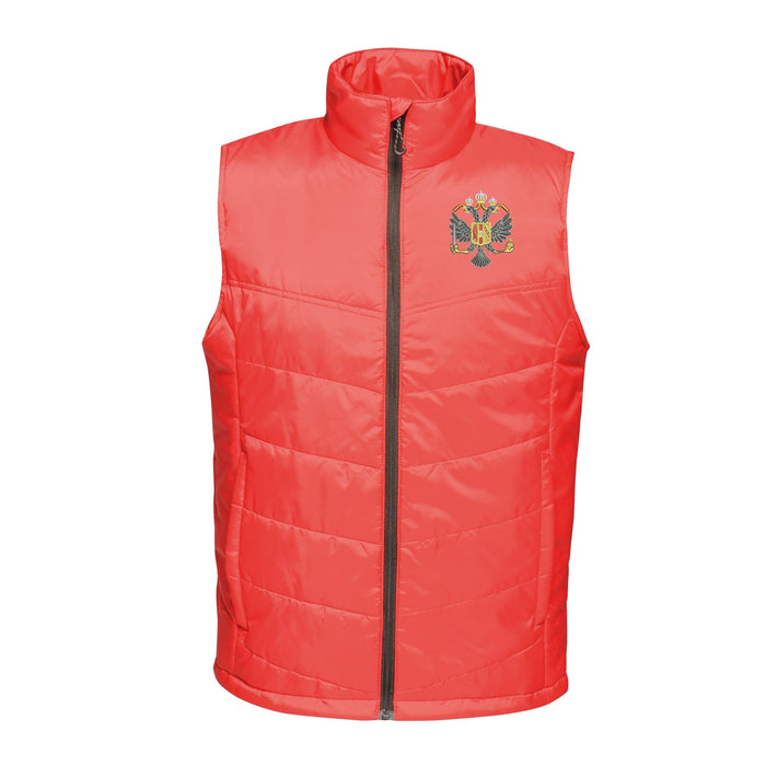 1st Queen's Dragoon Guards Insulated Bodywarmer