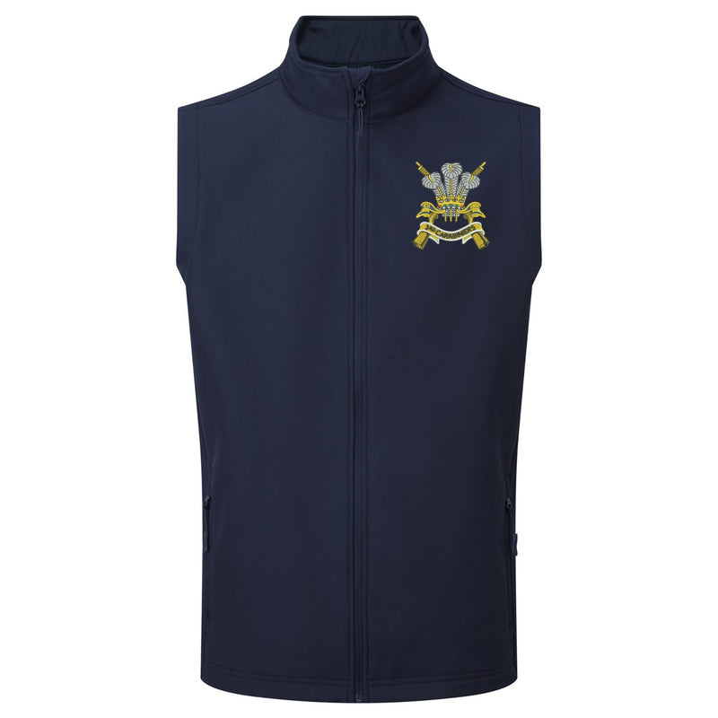 3rd Carabiniers Gilet