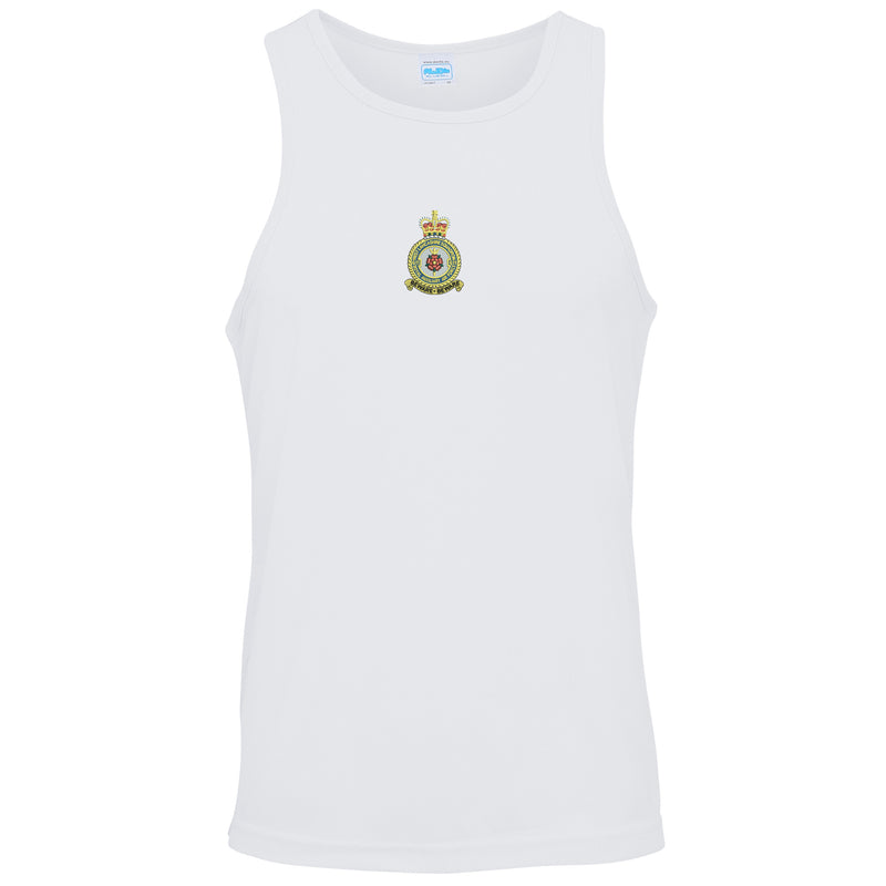 No. 611 Squadron RAF Vest