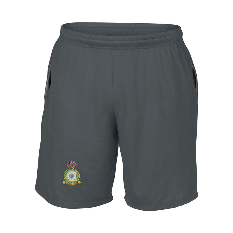612 Squadron RAuxAF Performance Shorts