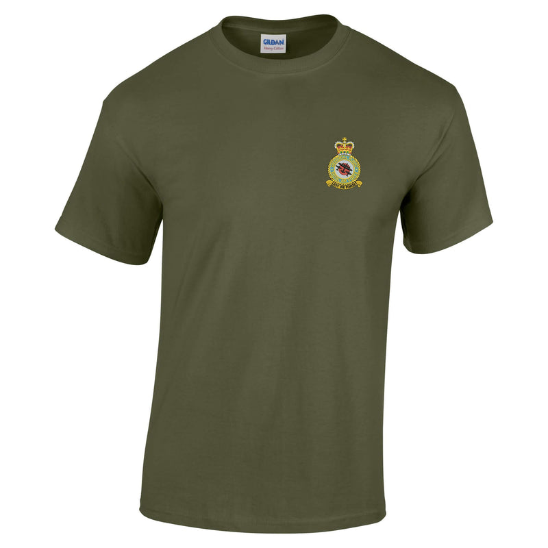 Battle of Britain Memorial Flight Cotton T-Shirt