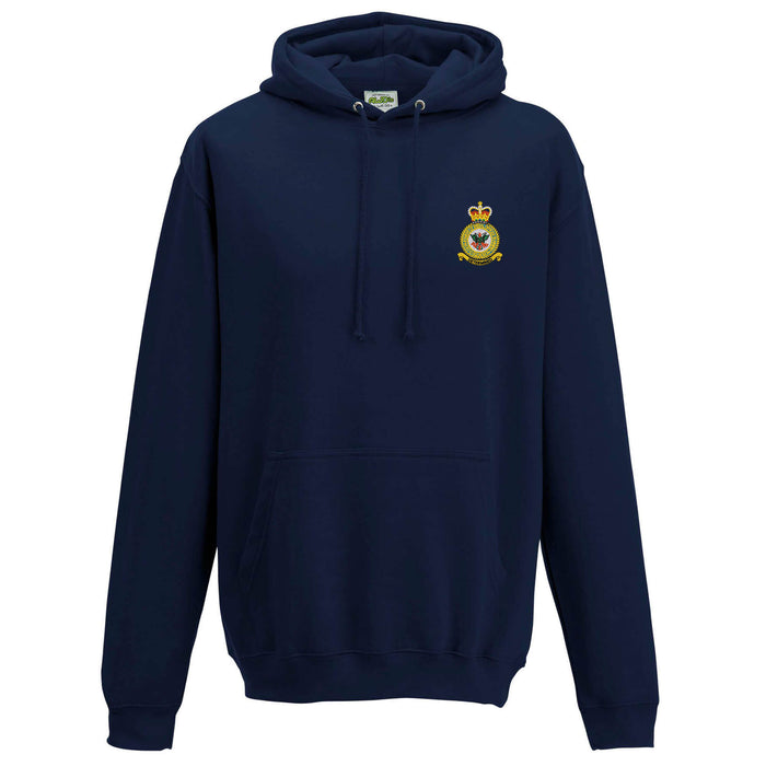D Squadron Department of Initial Officer Training Hoodie