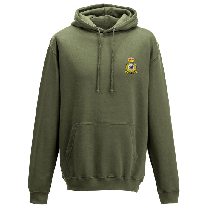 D Squadron Department of Initial Officer Training Hoodie