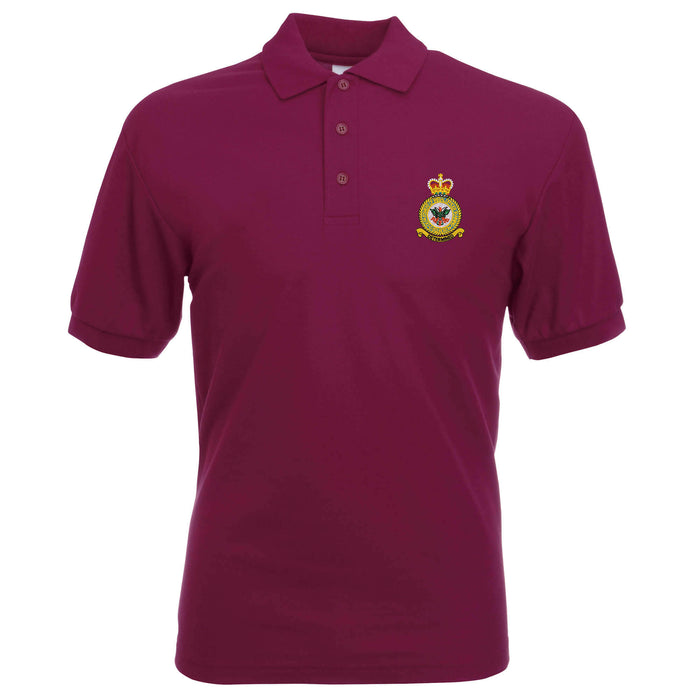 D Squadron Department of Initial Officer Training Polo Shirt