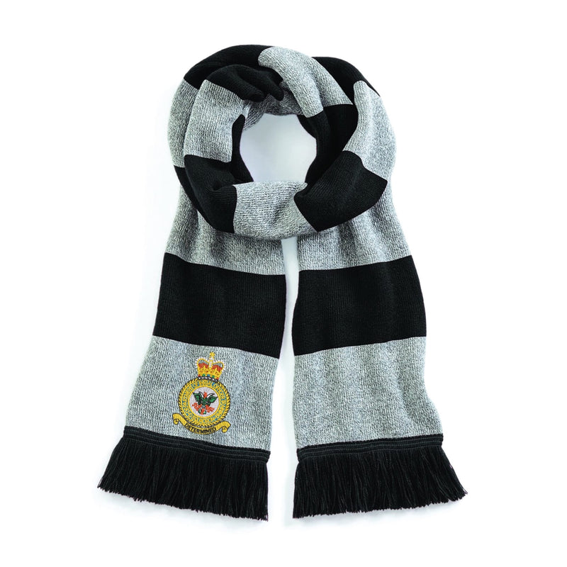 D Squadron Department of Initial Officer Training Stadium Scarf