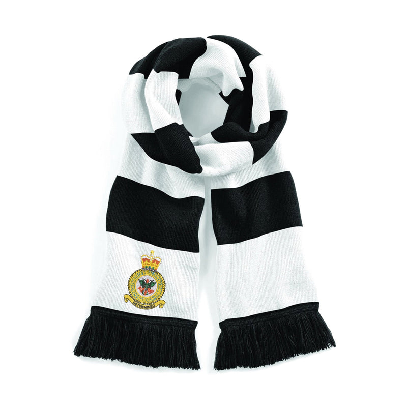 D Squadron Department of Initial Officer Training Stadium Scarf