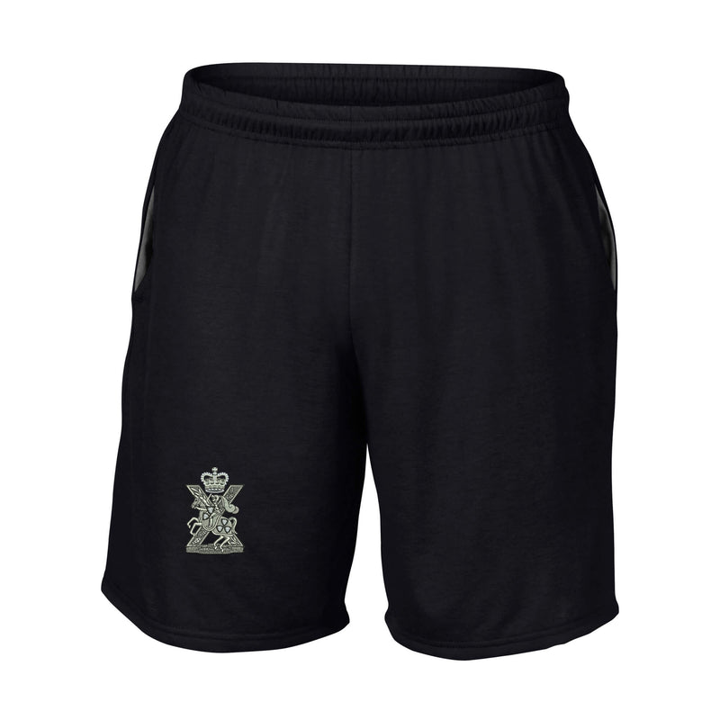 Fife and Forfar Yeomanry-Scottish Horse Performance Shorts