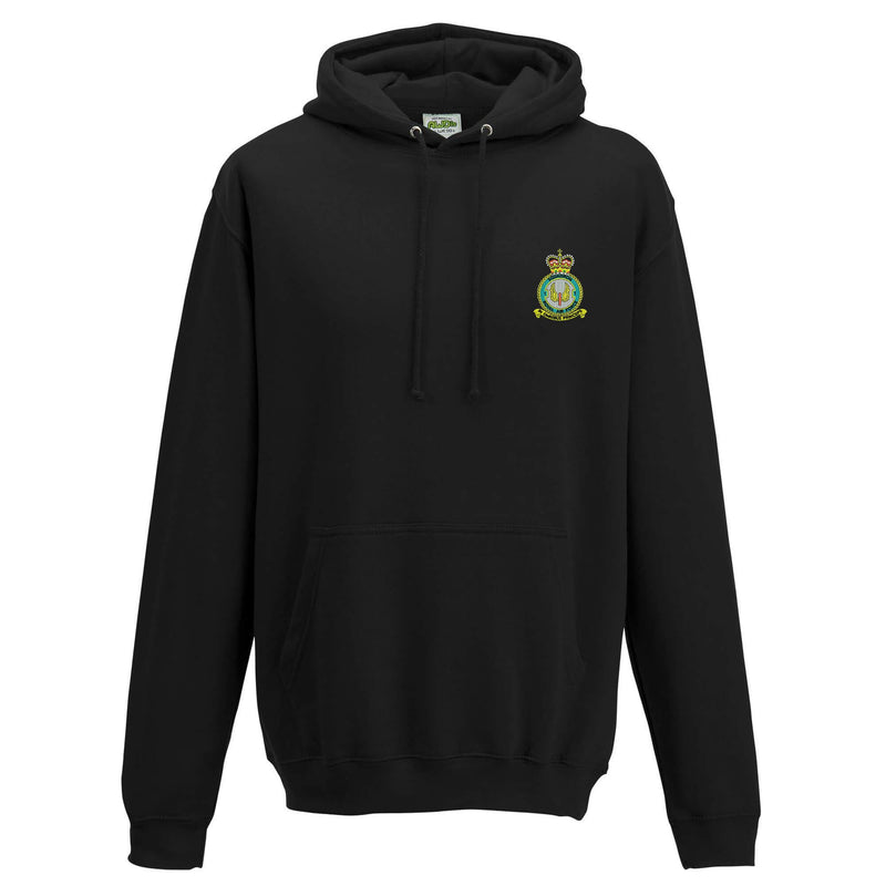 No 1 Squadron RAF Hoodie