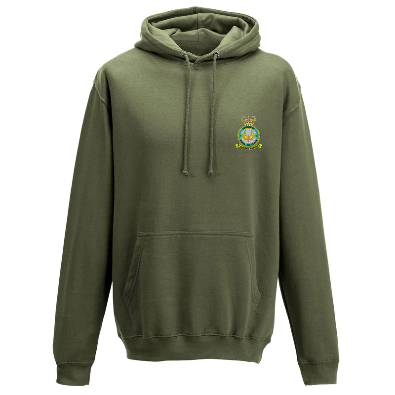 No 1 Squadron RAF Hoodie