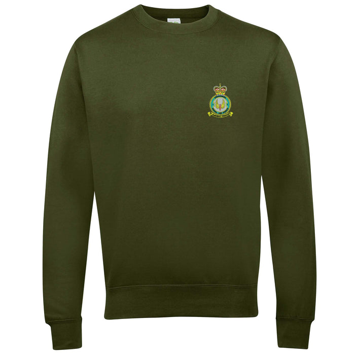 No 1 Squadron RAF Sweatshirt
