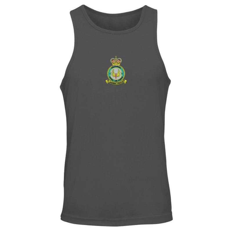 No 1 Squadron RAF Vest