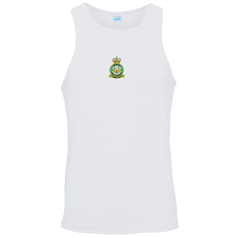 No 1 Squadron RAF Vest
