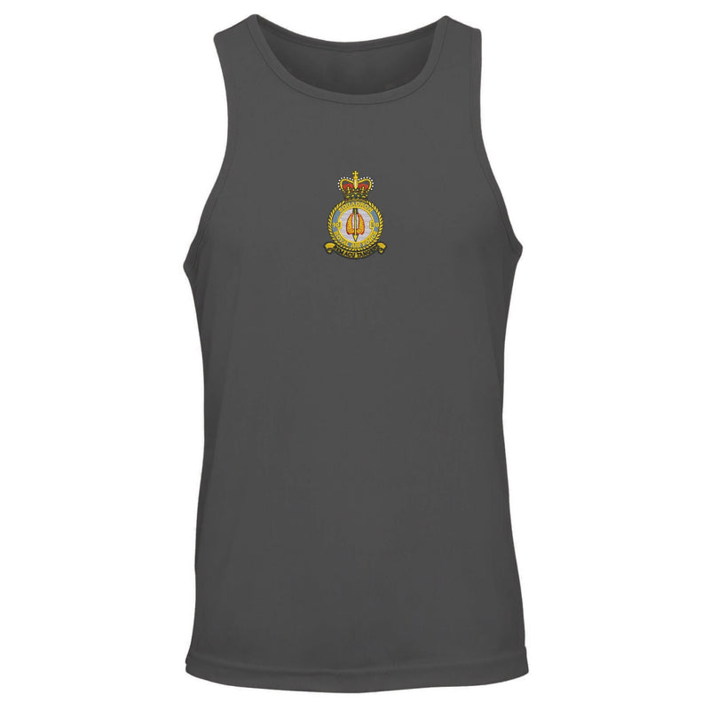 No. 10 Squadron RAF Vest