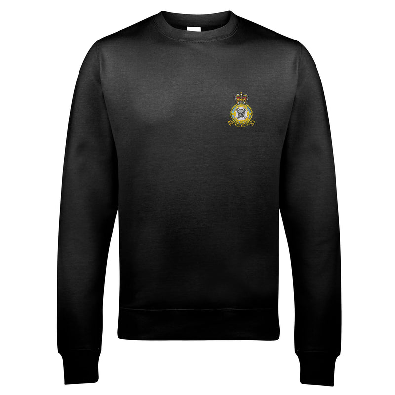 No 100 Squadron RAF Sweatshirt