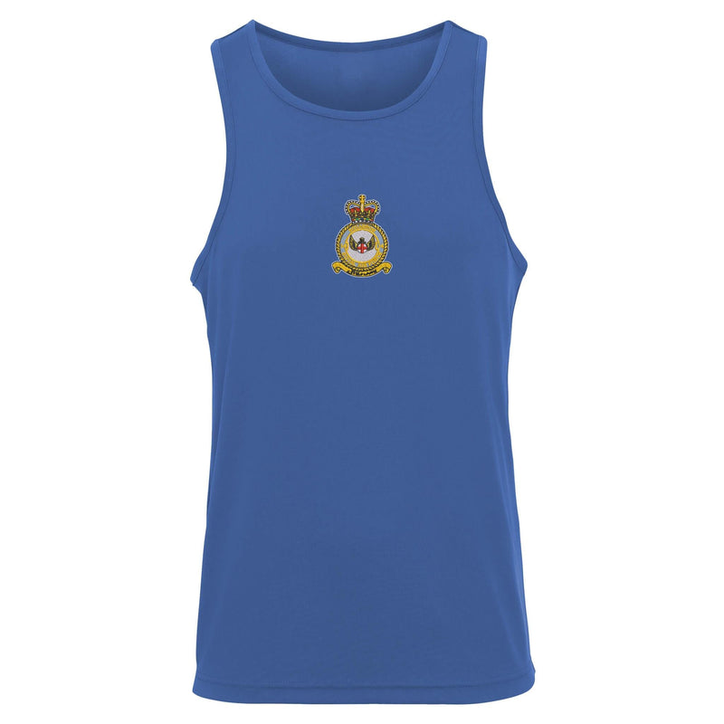No 14 Squadron RAF Vest