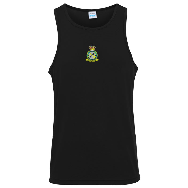 No 16 Squadron RAF Vest