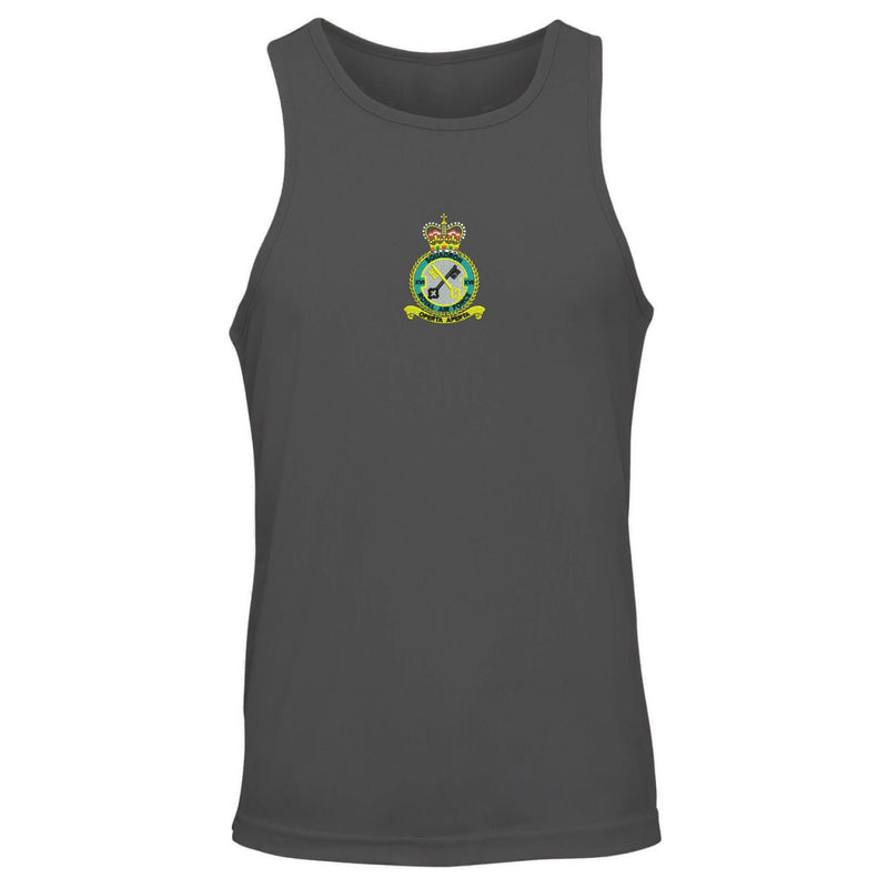 No 16 Squadron RAF Vest