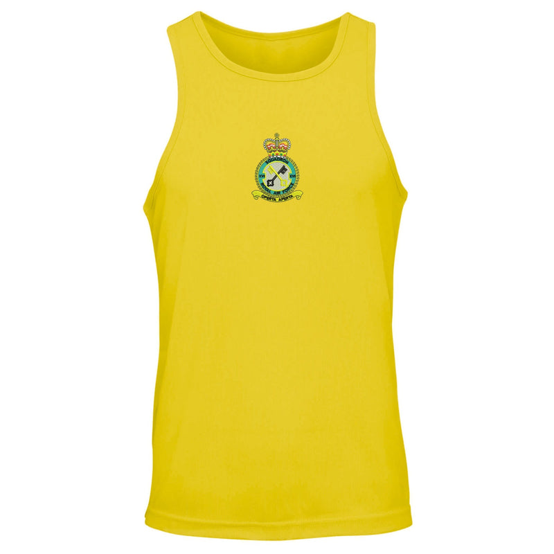 No 16 Squadron RAF Vest