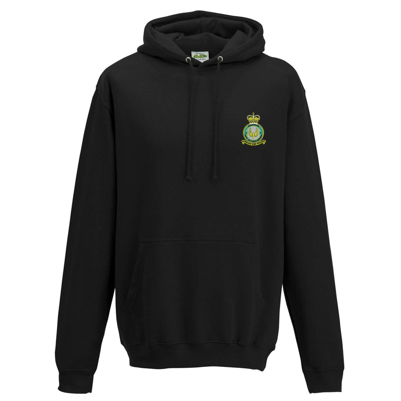 No 2 Squadron RAF Regiment Hoodie